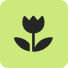 /flower.png